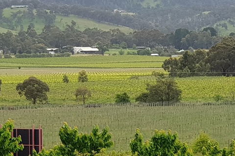 Yarra Valley Wineries And Rayners Orchard Tour From Melbourne - Grafton Accommodation 2