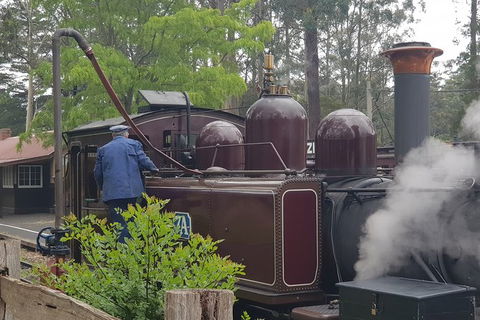 Day Tour Of Yarra Valley Puffing Billy And Rayners Orchard - Grafton Accommodation 5