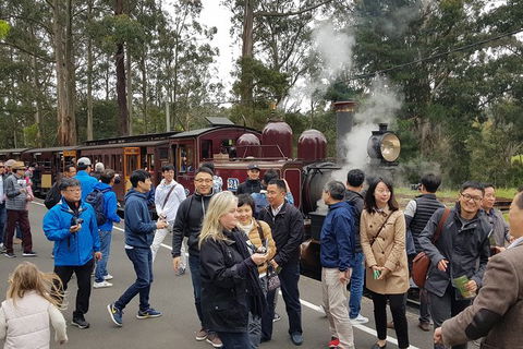 Day Tour Of Yarra Valley Puffing Billy And Rayners Orchard - Grafton Accommodation 18