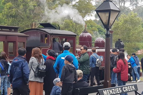 Day Tour Of Yarra Valley Puffing Billy And Rayners Orchard - Grafton Accommodation 40