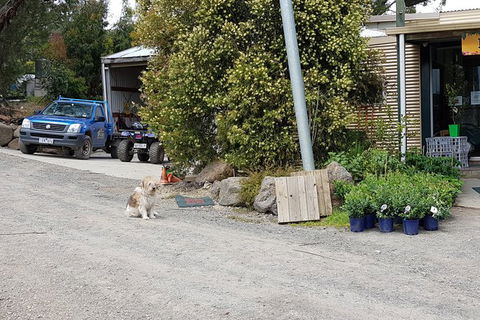 Day Tour Of Yarra Valley Puffing Billy And Rayners Orchard - Grafton Accommodation 6