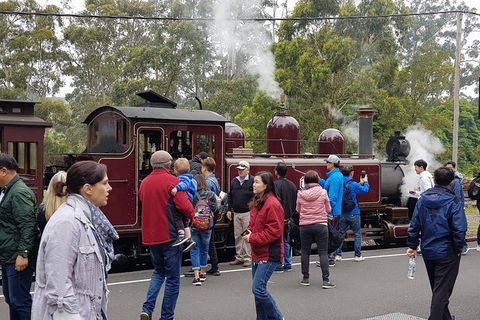 Day Tour Of Yarra Valley Puffing Billy And Rayners Orchard - Grafton Accommodation 4