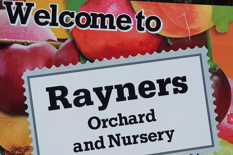 Day Tour Of Yarra Valley Puffing Billy And Rayners Orchard - Grafton Accommodation 20