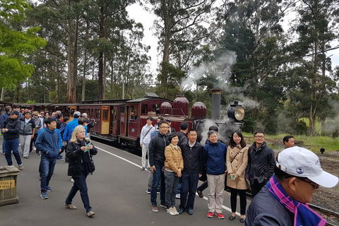 Day Tour Of Yarra Valley Puffing Billy And Rayners Orchard - Grafton Accommodation 9