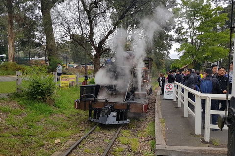 Day Tour Of Yarra Valley Puffing Billy And Rayners Orchard - Grafton Accommodation 43
