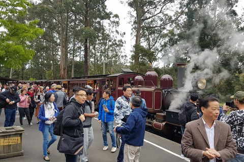 Day Tour Of Yarra Valley Puffing Billy And Rayners Orchard - Grafton Accommodation 12