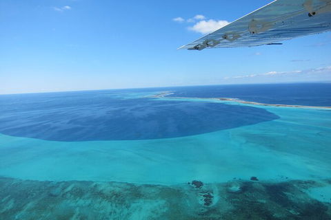 Shipwreck Special Full Day Tour Of The Abrolhos Islands - Grafton Accommodation 2