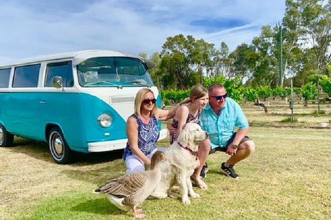 Half Day VW Kombi Food And Wine Tour - Grafton Accommodation 0