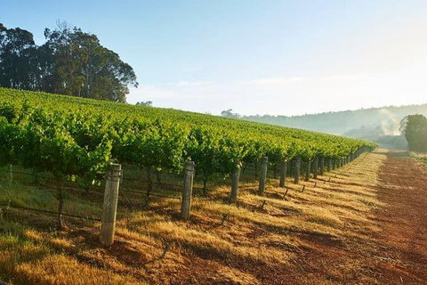 Botanical Gardens, Winery And Scenic Full Day Tour - Grafton Accommodation 2