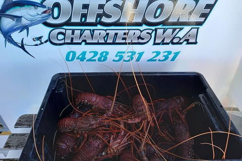 Lobster Fishing Tour At Geraldton - Grafton Accommodation 0