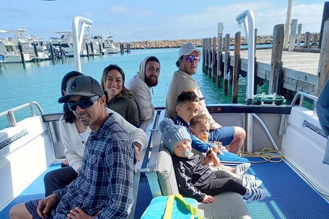 Whale Watching Boat Tour In Geraldton - Grafton Accommodation 1