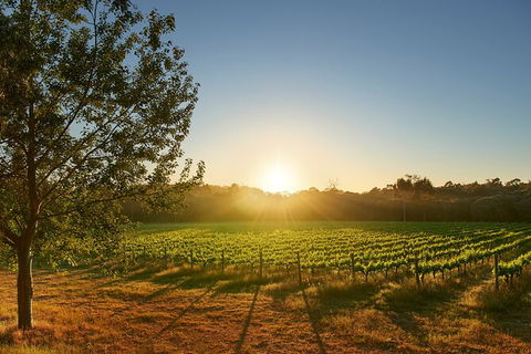Private Barrel Hall Wine Tasting In The Margaret River Region - Grafton Accommodation 3