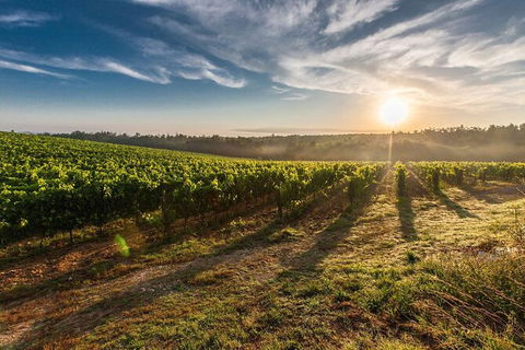 Perth To Margaret River Wine Tour - 2 Day Premium Boutique Wine Tour Experience - Grafton Accommodation 0