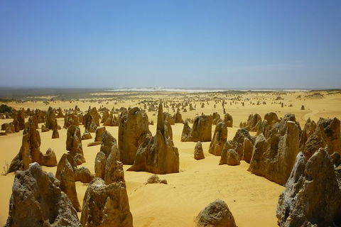 Pinnacles Desert Private Tour - Grafton Accommodation 5