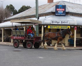 Bathurst Farm Experience - Grafton Accommodation 0
