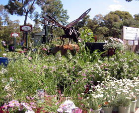 Zanthorrea Nursery - Grafton Accommodation 0