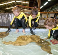 Australian Shark and Ray Centre - Grafton Accommodation