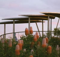 Reabold Hill Summit Boardwalk Bold Park - Grafton Accommodation