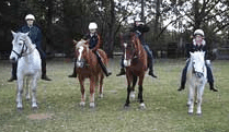 Valhalla Horse Riding - Grafton Accommodation 1