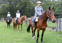 Valhalla Horse Riding - Grafton Accommodation 2