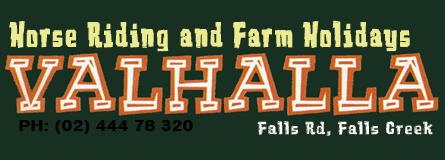 Valhalla Horse Riding - Grafton Accommodation 4