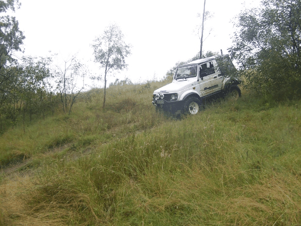 Scenic Rim Adventure Park - Grafton Accommodation 1