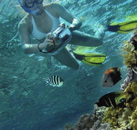Calypso Reef Charters - Grafton Accommodation