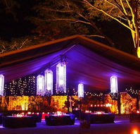 Flames Of The Forest - Grafton Accommodation