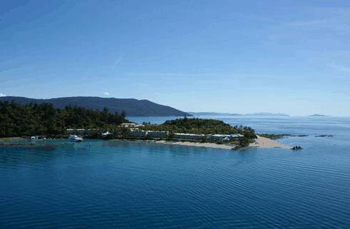 Island Parasail - Grafton Accommodation 5