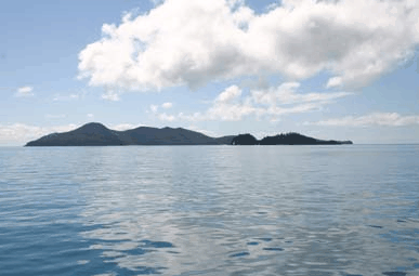 Whitehaven Xpress Whitehaven Beach Tours - Grafton Accommodation 2