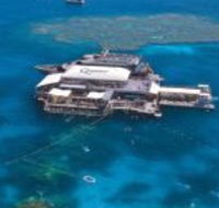 Quicksilver Cruises - Grafton Accommodation