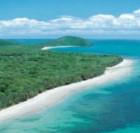 Reef and Rainforest Connections - Grafton Accommodation
