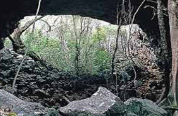 Undara Experience - Grafton Accommodation 2