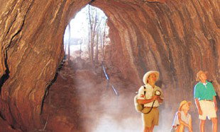 Undara Experience - Grafton Accommodation 3