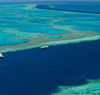 Cruise Whitsundays - Grafton Accommodation