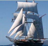 Adventure Catamarans Dive and Sail - Grafton Accommodation