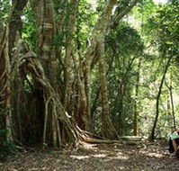 The Airlie Creek Track - Grafton Accommodation