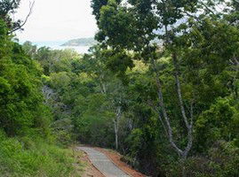 The Airlie Creek Track - Grafton Accommodation 1