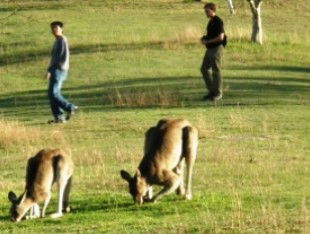 Palen Creek QLD Grafton Accommodation
