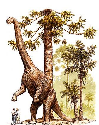 Australian Age Of Dinosaurs - Grafton Accommodation 2