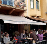 Dogs Bar - Grafton Accommodation