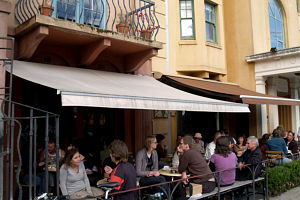 Dogs Bar - Grafton Accommodation 0