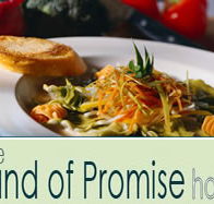 Land of Promise Hotel - Grafton Accommodation