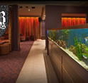 AB Hotel - Grafton Accommodation