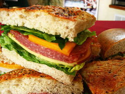 Hydra Cafe - Grafton Accommodation 2