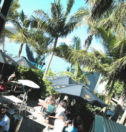Duck & Swan Hotel - Grafton Accommodation 3