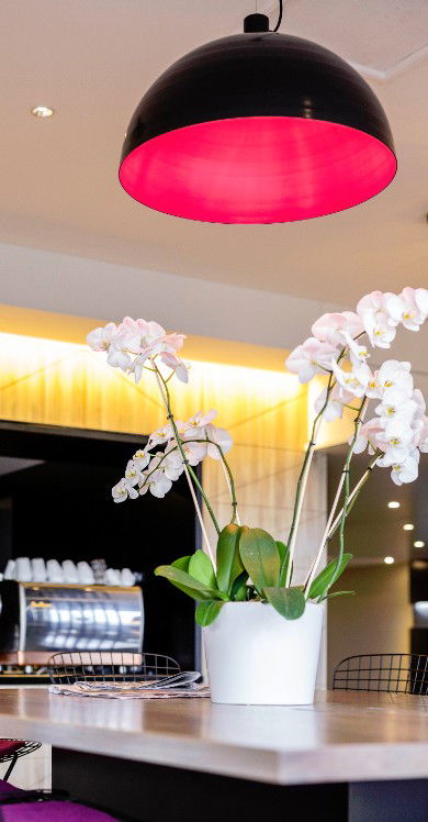 MRepublic Restaurant, Bar And Lounge - Grafton Accommodation 4