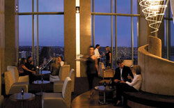 Blu Horizons Bar - Grafton Accommodation 0