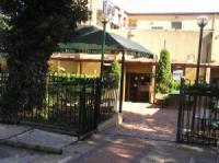 The Pine Inn - Grafton Accommodation 2