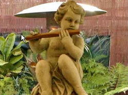 The Rose Hotel - Grafton Accommodation 2